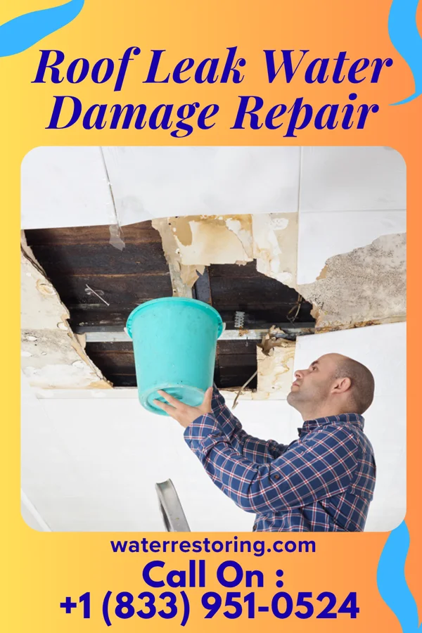 Roof Leak Water Damage Repair in Jerico Springs, MO